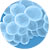 Brilliance MRSA Agar